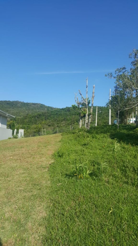 Terreno com vista para Garopaba, Residencial Panorâmico, SC