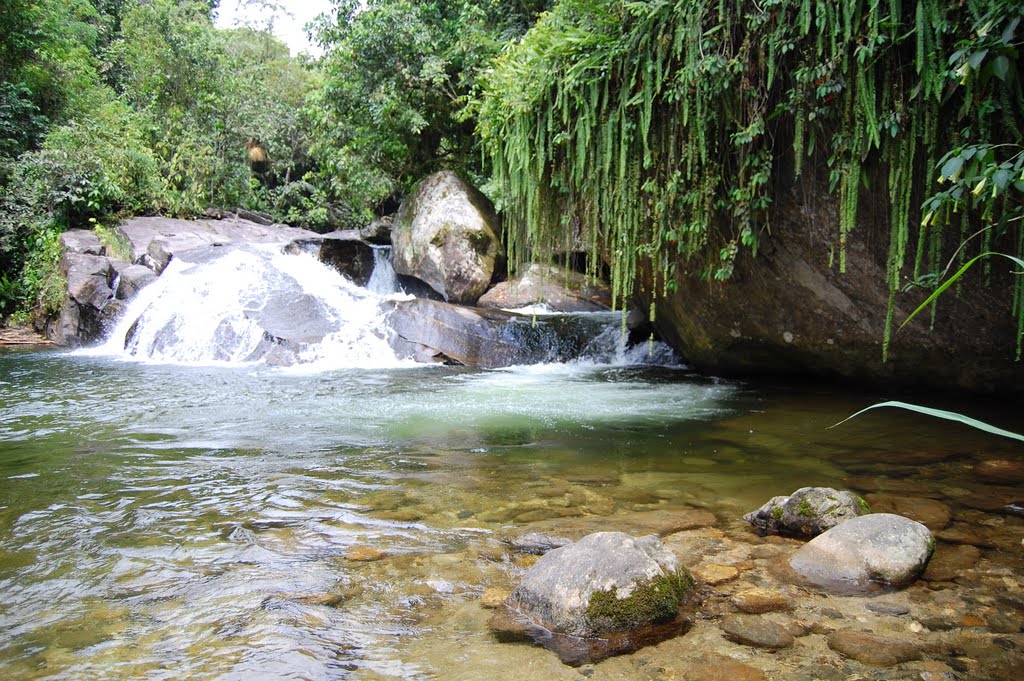 Macacu, Garopaba, SC! Macacu, Garopaba, SC!