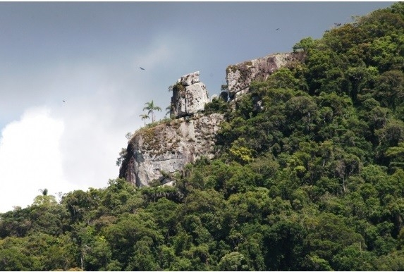 Encantada, Garopaba, Santa Catarina! Encantada, Garopaba, Santa Catarina!