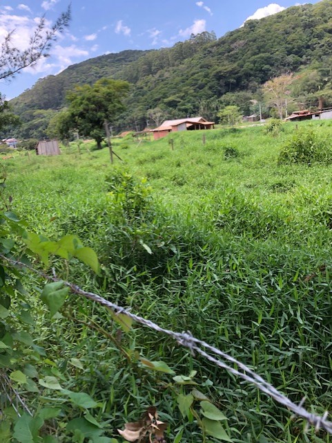 Terreno plano com 450m², com escritura na Praia do Siriú, Garopaba!