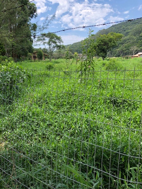 Terreno plano com 450m², com escritura na Praia do Siriú, Garopaba!