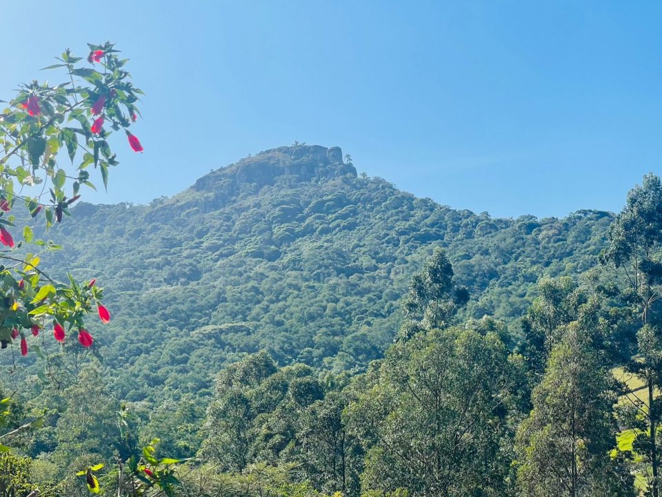 Terreno a venda na Encantada, Garopaba, SC