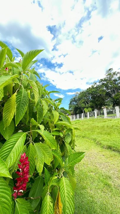 Terreno a venda no Rosa – Imbituba