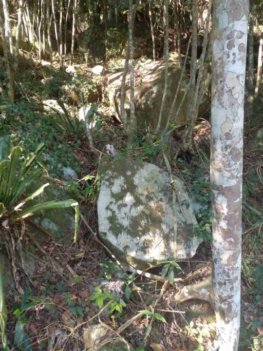 Terrenos à Venda no Bairro Macacu – Garopaba/SC