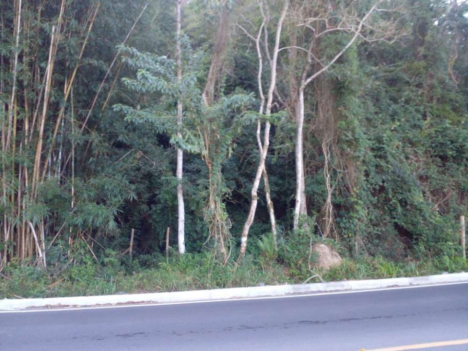 Terrenos à Venda no Bairro Macacu – Garopaba/SC