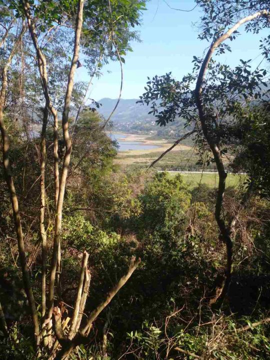 Terrenos à Venda no Bairro Macacu – Garopaba/SC