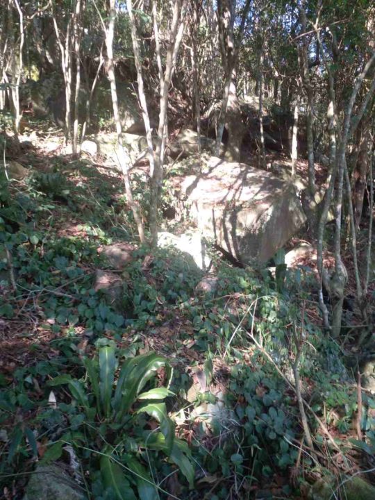 Terrenos à Venda no Bairro Macacu – Garopaba/SC