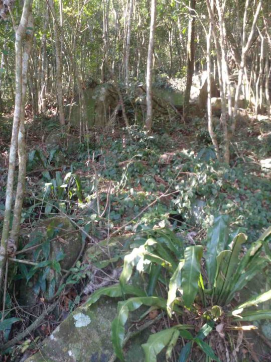 Terrenos à Venda no Bairro Macacu – Garopaba/SC