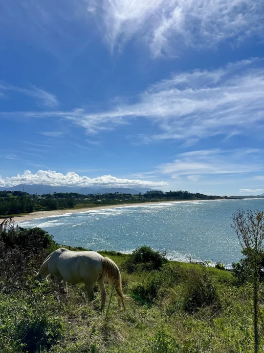 Apartamento à venda no Vista das Baleias, Praia da Gamboa, Garopaba